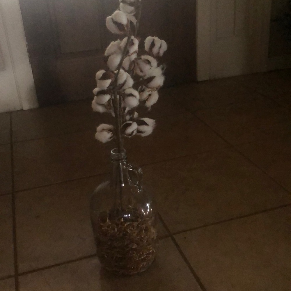 Vase with Cotton Decor.